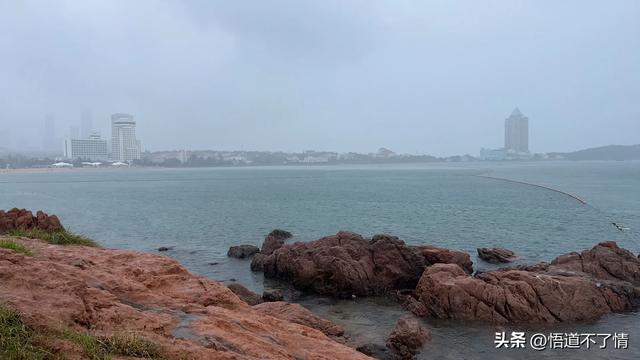 青岛，我来了