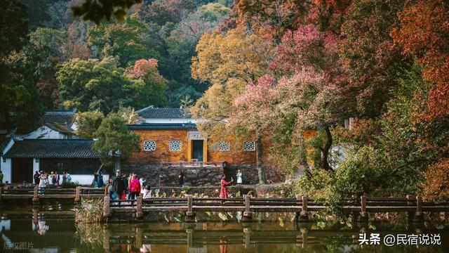 苏州居然还藏着一个“中国四大枫叶胜地”！