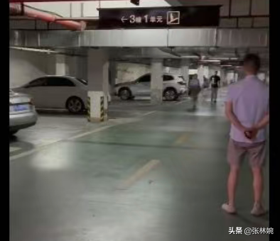 丹阳车库杜宾犬后续！报警却被要求删除视频，狗主人硬刚网友！