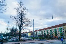 高福利的北欧有多神奇？外面的人想去躺平，里面的人却想逃离！图片