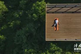 你的韧性，决定你的上限图片