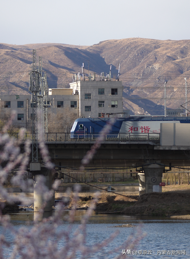 呼和浩特赏花攻略：最佳地点+公交出行指南