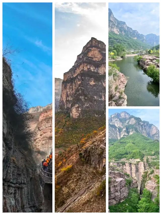 王莽岭锡崖沟夏日请柬|在25℃的夏天里私藏了一片绿野仙踪