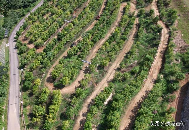 溪流、露营、森林、热气球……一起解锁贵港版“绿野仙踪”