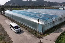 多多买菜激发创业活力，乡镇青年圆了“老板梦”图片