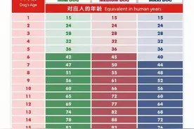 “狗1岁=人类7岁”？很多人都错了，附上最新的年龄对照表！图片
