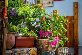 所有疾病都起于这5点（深度好文）图片