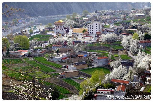 三月川藏线：邂逅中国最“野”的春天