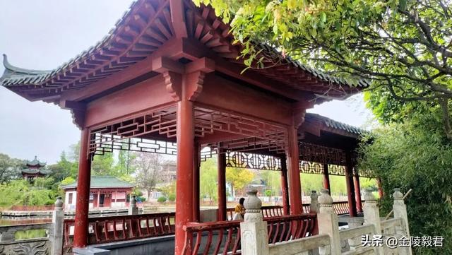 绿阳春拂柳蒙城 三千年文化朝圣