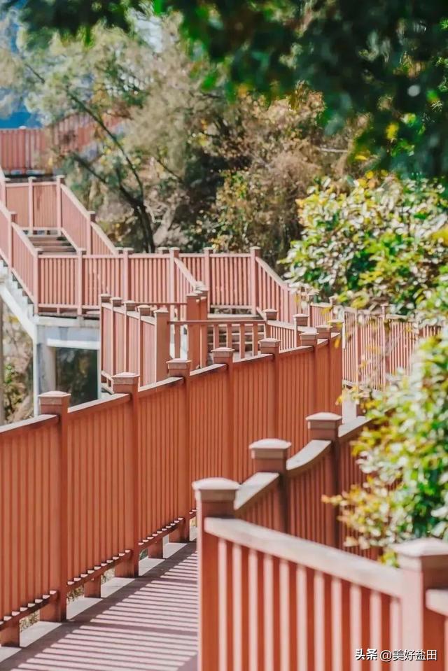 反向旅游，你不知道深圳的海有多绝