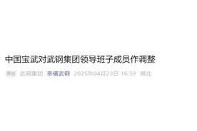 武钢集团领导班子成员调整图片