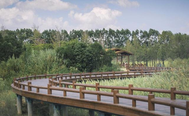 湖北荆州市，到底骗了多少人？居然拥有 5 个 “中国之最”！