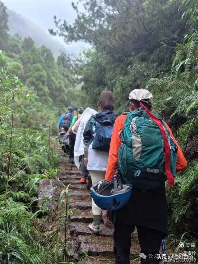 周末徒步去!这个有"温州版武功山"之称的名山,你可要去爬一次