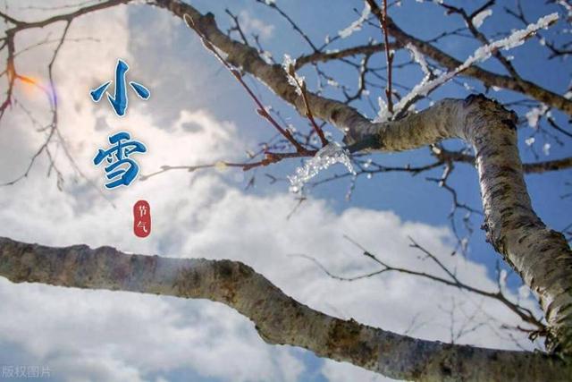 “上午小雪，冻死牛；下午小雪，暖烘烘”	，今年几点小雪？