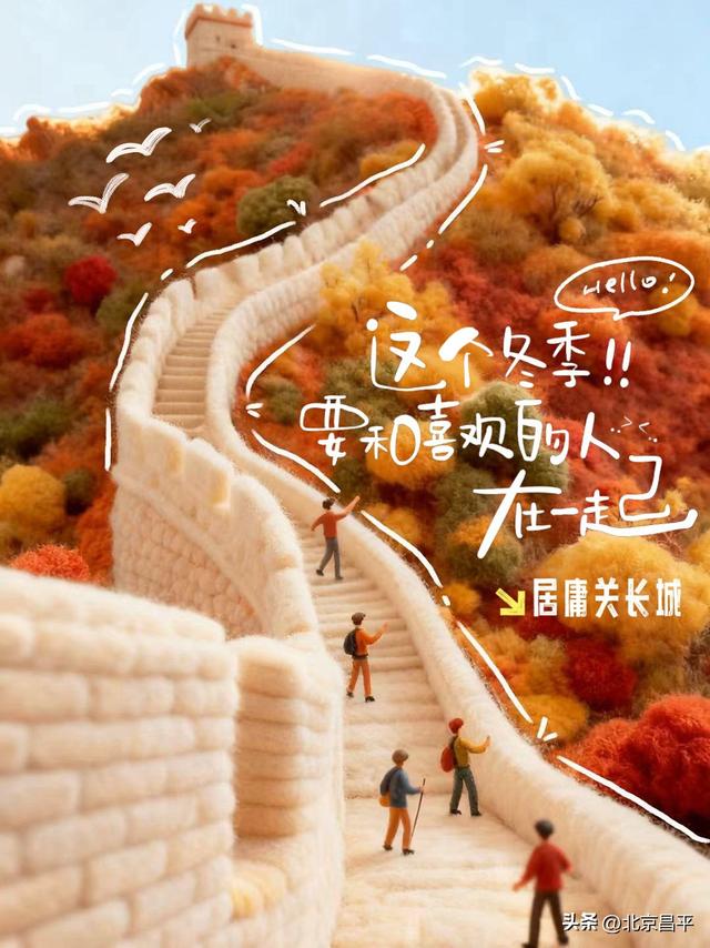 降温啦！一起拥抱“毛茸茸”的冬天