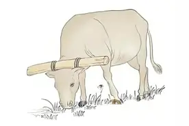 《说文解字》第924课：细说“衡”字，为啥它里面有个“角”？图片