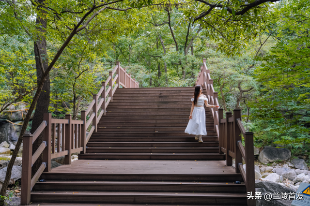 5A级景区重磅官宣：临沂、济南市民免费！