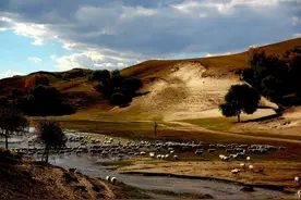 内蒙古毒蛇肆虐，徒步旅行需当心！为何深秋时节还有毒蛇活动?图片