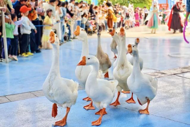 人均低至59 元！国潮狂欢节来袭