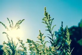 九个震撼人心的真实故事：动物母爱不输人类，看完落泪.....图片