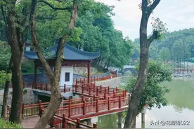 人到老年，渐渐悟懂的这10件事，读懂了，人生也就活明白了图片