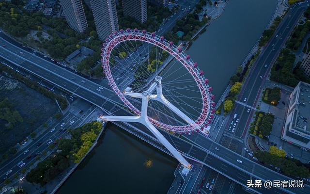 三月赏花季，天津现“蓝眼泪”奇观，你选哪个？