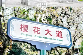 Deepseek：中国最美大学Top10！武大樱花封神，这所黑马刷屏全网图片