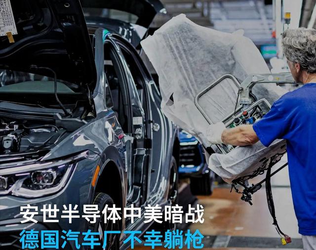 荷兰人语出惊人，中国不会因安世就把事情闹大，因为中国不想丢脸