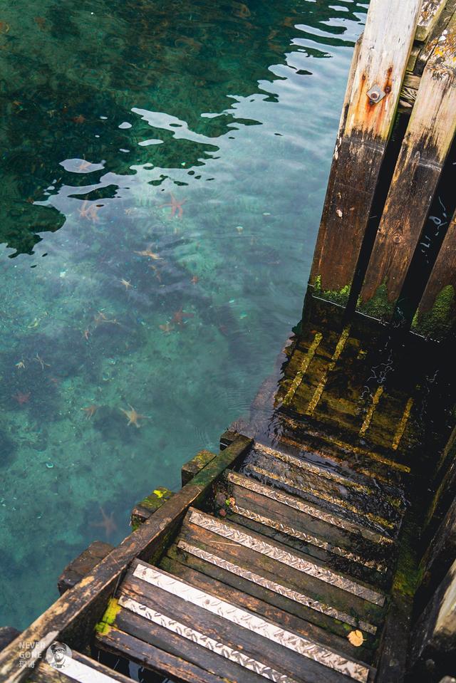 挪威秋韵，峡湾森境