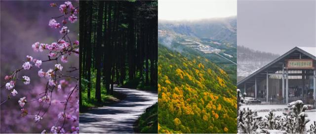 新雪映六盘，诗声越千年！2026这抹银白，藏着最动人的山河共鸣