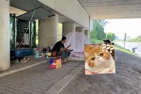 上海“桥洞大神”：挣一天钱花5天，被感情伤透了心后，活明白了图片