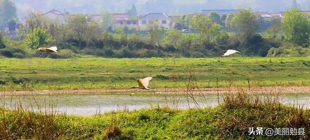 美翻了！雨后周家山，汉江云雾如仙境，这份生态答卷请查收→