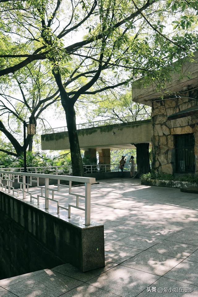 隐于山城！在重庆这座公园邂逅复古园林，带娃寻回惬意老时光