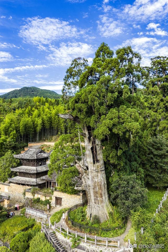 古寺藏元韵，素颜见真章——时思寺访古记