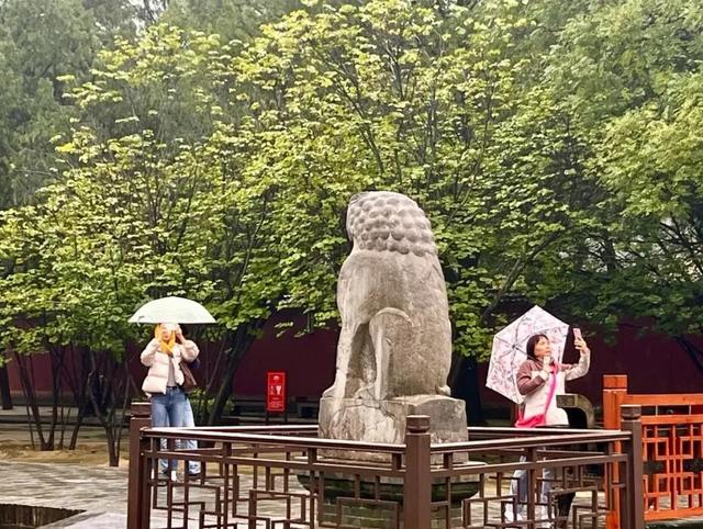 热度延续！国庆假期第七日，运城各景区魅力常新！