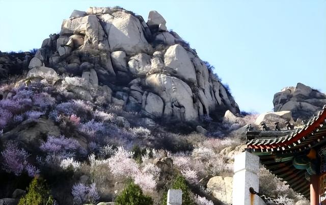 上春山！海淀这座山又到了最美的时候
