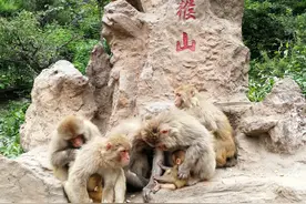 “炮”姐大力仑的家乡“济源”是怎么样的神秘城市？图片