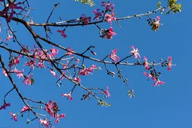 为什么现在很多男孩都不找女朋友了？网友：被逼无奈图片