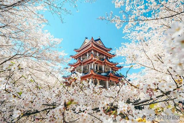 清明假期去哪玩？这些景区免门票了！