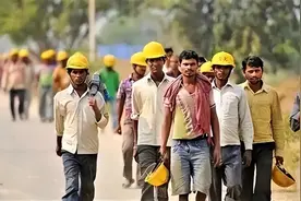 以色列回报莫迪，将引进10万印度劳工，华人教授“深刻反思”图片