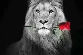 顶级思维：炒股周期论图片