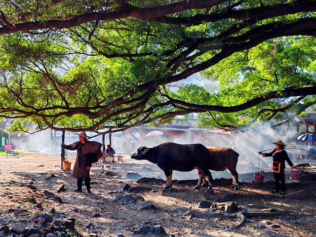 福建旅游：难忘霞浦两日采风行记（图）