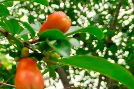 人过五十才知道，为什么兄弟姐妹会渐行渐远图片