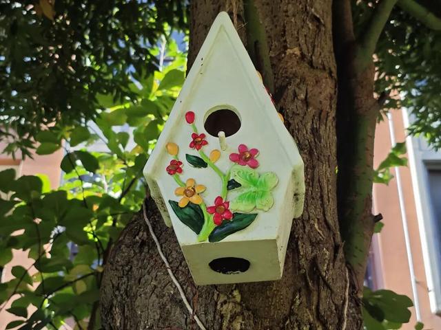 段丽仙：把海东院子住成温情故