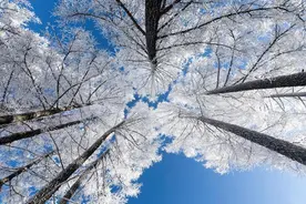 长期持有一只股票，反复做t，可以赚钱吗？一位成功老股民的告诫图片