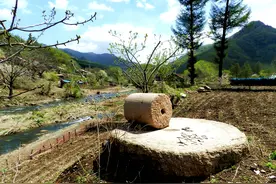 农家的碾子为什么要放置在街（该）上，而不是放置在自家的院中图片