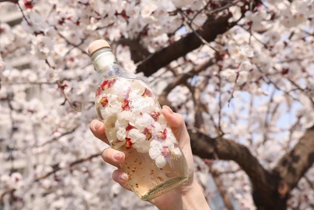 太出片了！临沂这些地方，迎来高光时刻！