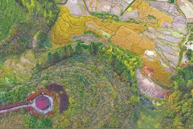 大田：农村一二三产业融合项目有序推进图片