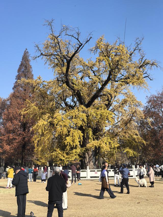 南京老山郊野一日徒步，从狮子岭兜率寺到汤泉惠济寺