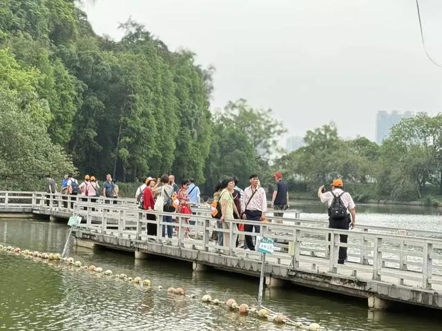 免门票！近2万名江门人游肇庆星湖！